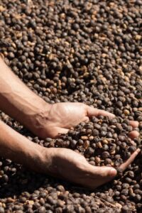 Read more about the article Brewing Sustainability: Beyond the Buzzword